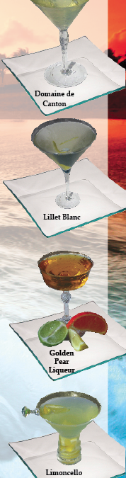 Summer Sun & Martinis Galore