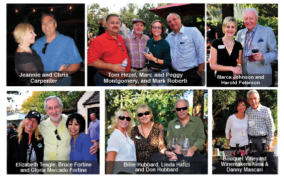 Sunset in the Vineyard 2013