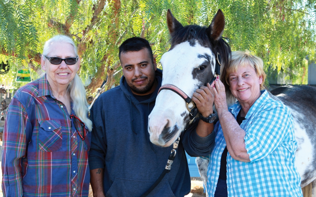 How to Save a Life – Blue Star Ranch helps veterans rebuild with equine-assisted psychotherapy