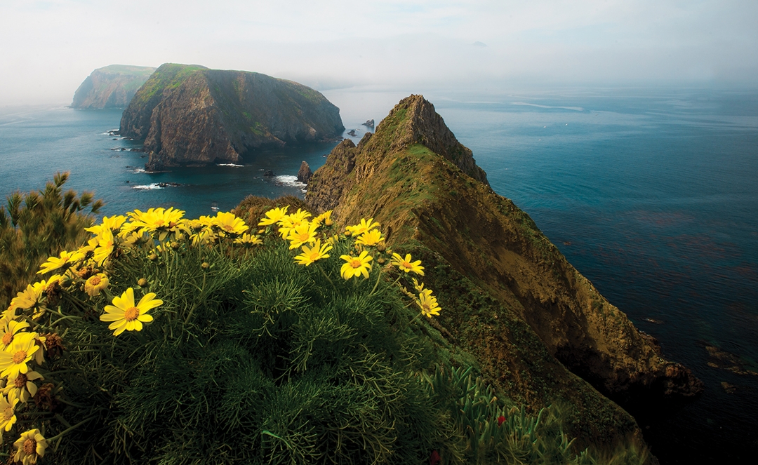 Enjoy the Beauty of Oxnard