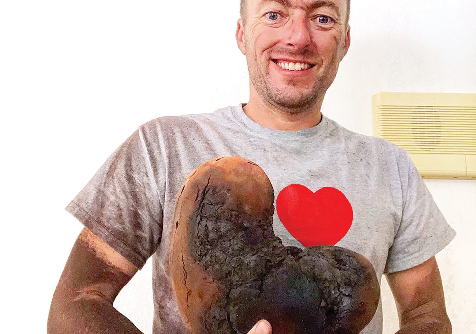 Creating Beauty From Devastation!