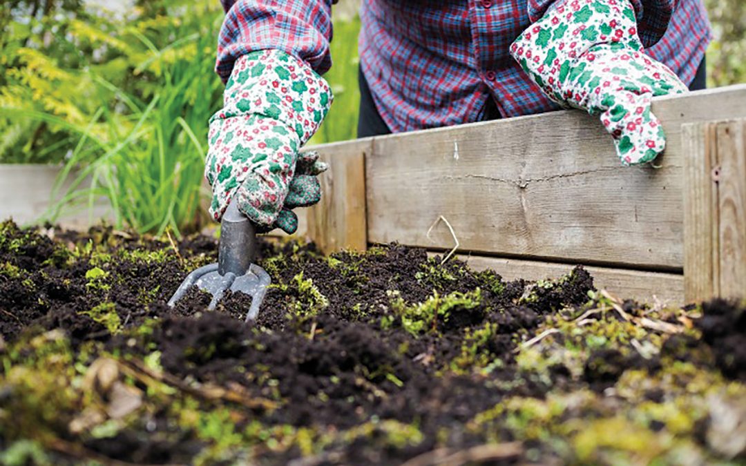 Fall In Love With These Gardening Ideas