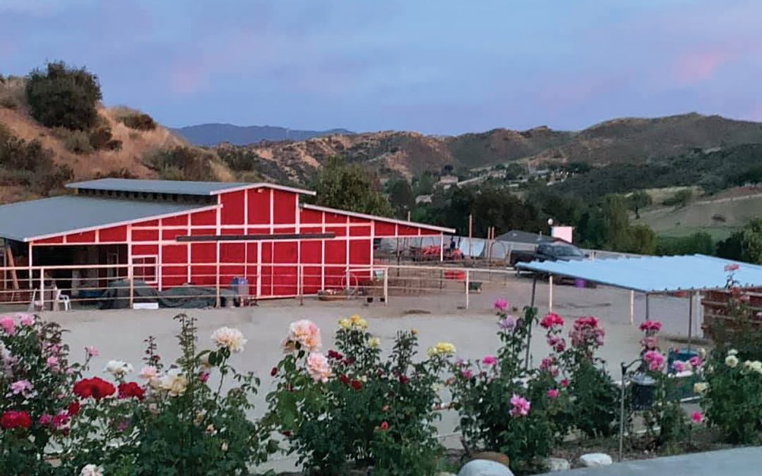 SRD Straightening Reins Introduces Family Friendly Ranch Time