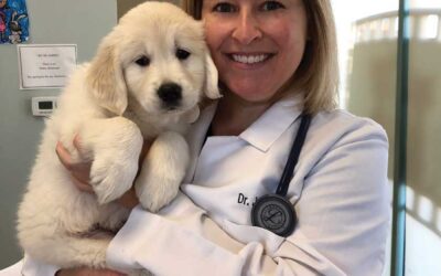 Leading the Way in Veterinary Care: Dr. Jaimie Ronchetto’s Journey