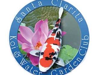 The Santa Clarita Koi Club: Cultivating Beauty and Community