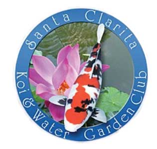The Santa Clarita Koi Club: Cultivating Beauty and Community