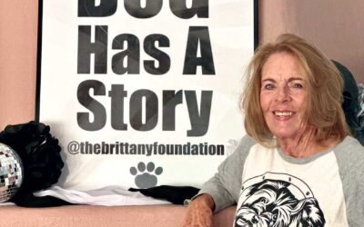 Celebrating 30 Years of Compassion: The Brittany Foundation’s Legacy of Love