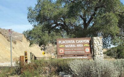 A Hidden Gem: Placerita Canyon Nature Center and Natural Area