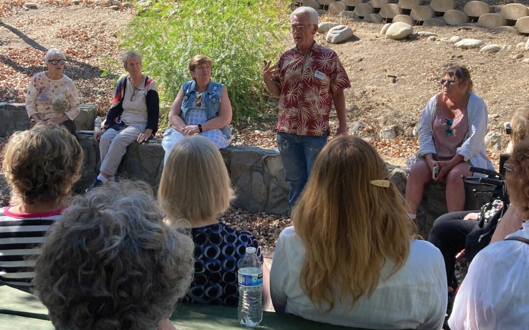 It Takes A Village – Or A “Court” – To Preserve Our History