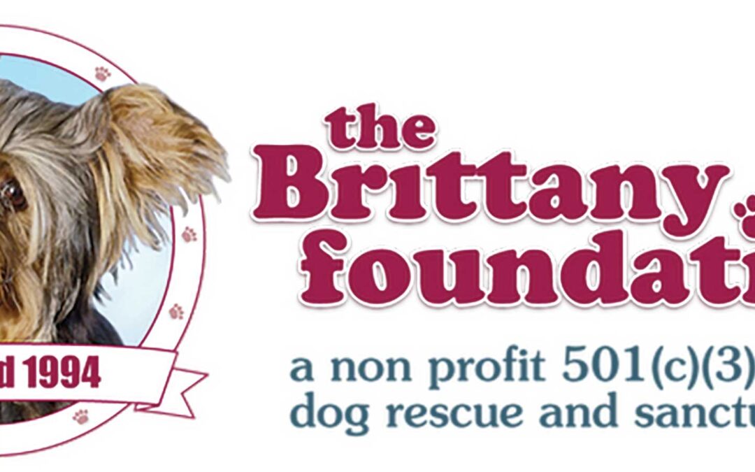 Getting to know The Brittany Foundation